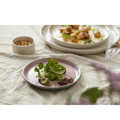 BITZ Gastro lėkštė, pilka/šviesiai rožinė 17 cm 1 BITZ Gastro lėkštė, pilka/šviesiai rožinė 17 cm 1