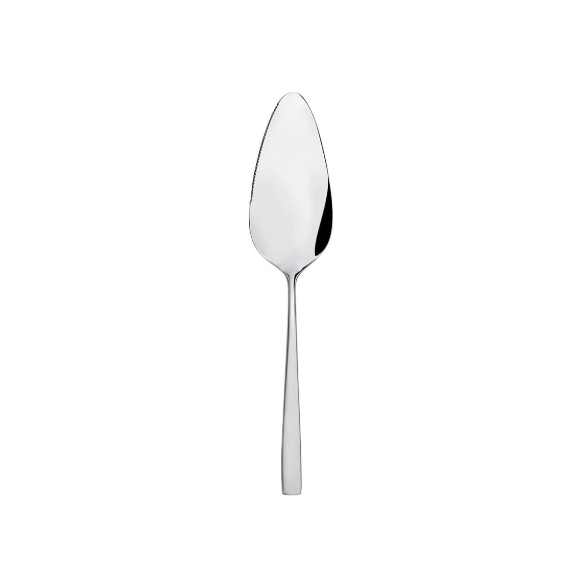 Fuga torto mentelė 26,2 cm, matinė/blizgi plieninė