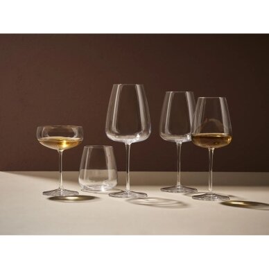 Luigi Bormioli šampano kupė Meravigliosi, 10,7 x 14,8 cm, 30 cl 6 vnt. 1 Luigi Bormioli šampano kupė Meravigliosi, 10,7 x 14,8 cm, 30 cl 6 vnt. 1